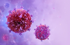 HIV virus cells.